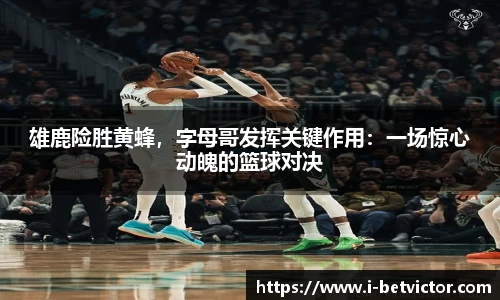 韦德体育平台