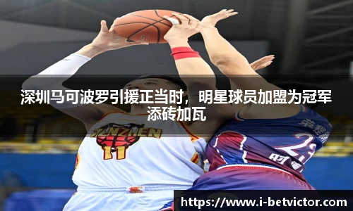 深圳马可波罗引援正当时，明星球员加盟为冠军添砖加瓦
